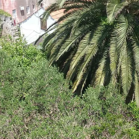 Apartment Carmen